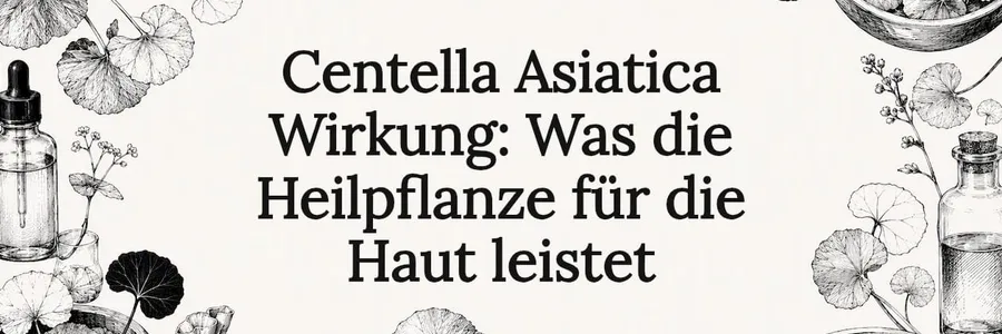 Centella Asiatica Wirkung: Was die Heilpflanze für die Haut leistet