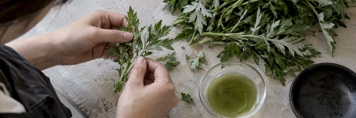 Mugwort in Skincare: What Mugwort Does for Your Skin