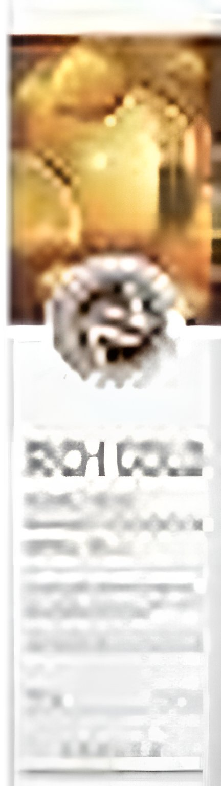 Enough Rich Gold Double Wear Radiance Foundation #23